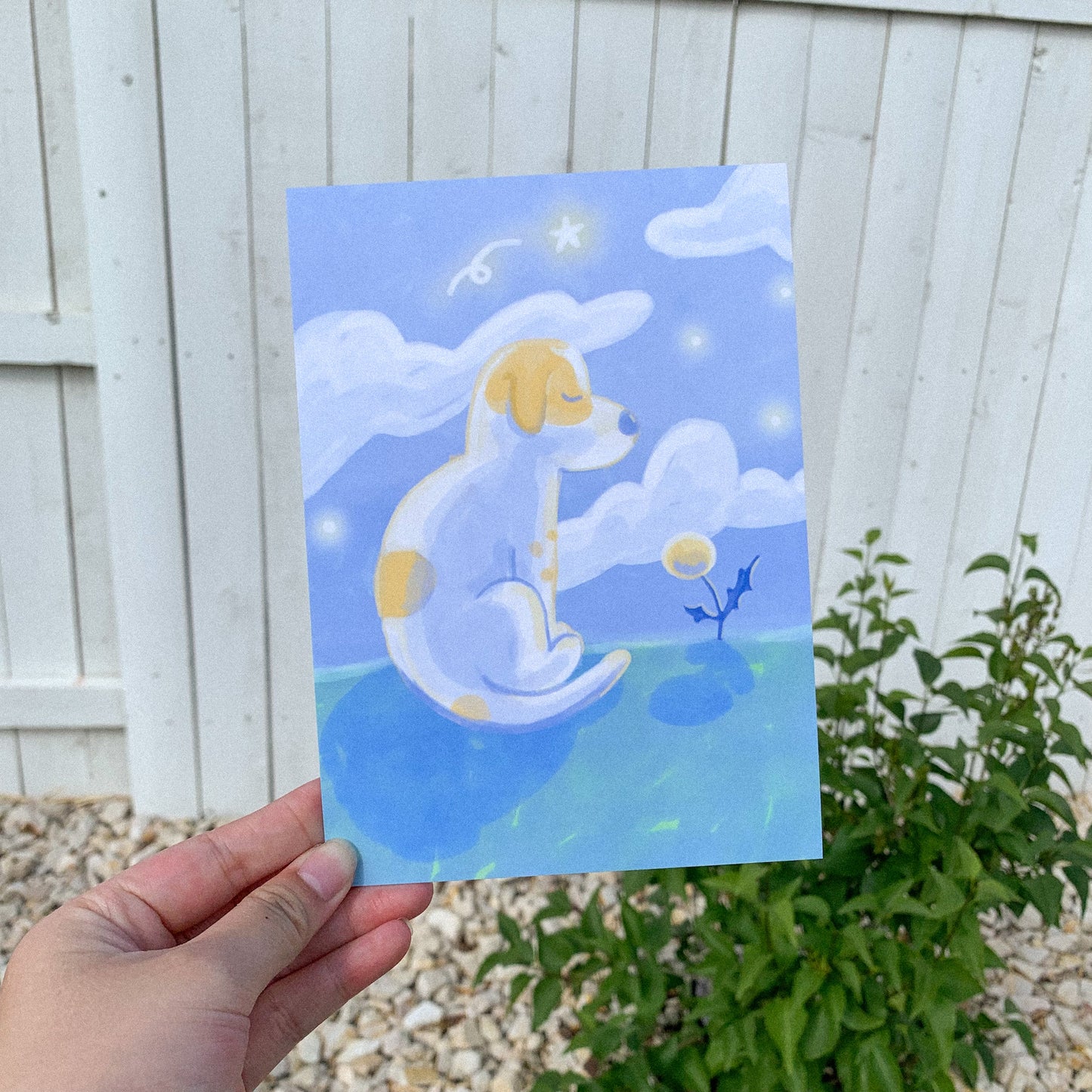 Bosco 5x7 Postcard Print